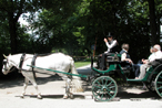 Kutschfahrt im Englischen Garten